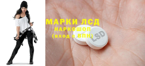 стафф Алзамай