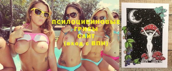 стафф Алзамай