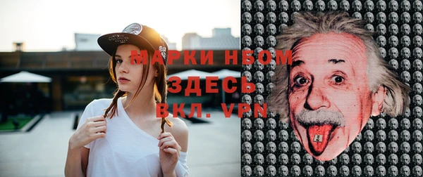 стафф Алзамай