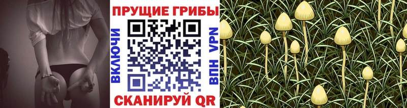 хочу наркоту Пермь МЕГА ссылки Псилоцибиновые грибы прущие грибы
