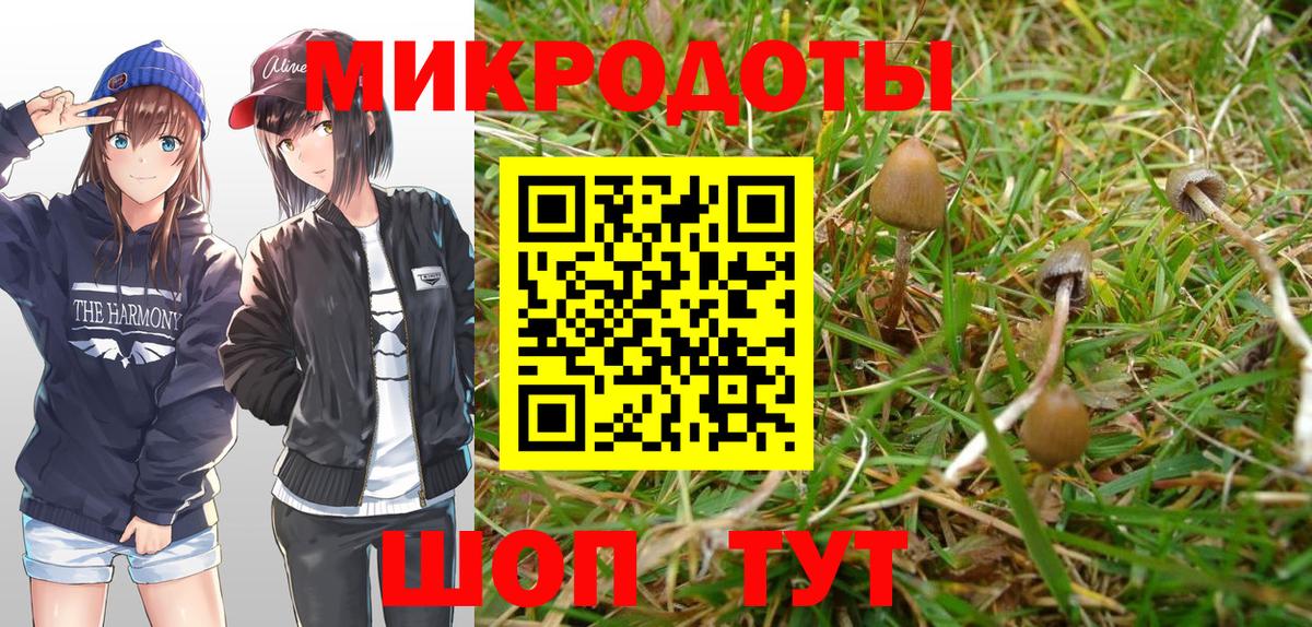 Галлюциногенные грибы Psilocybe  Вход с VPN  Пермь 