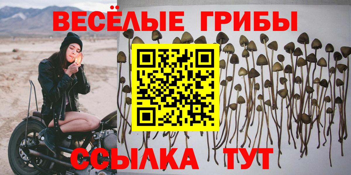 Псилоцибиновые грибы Magic Shrooms Пермь